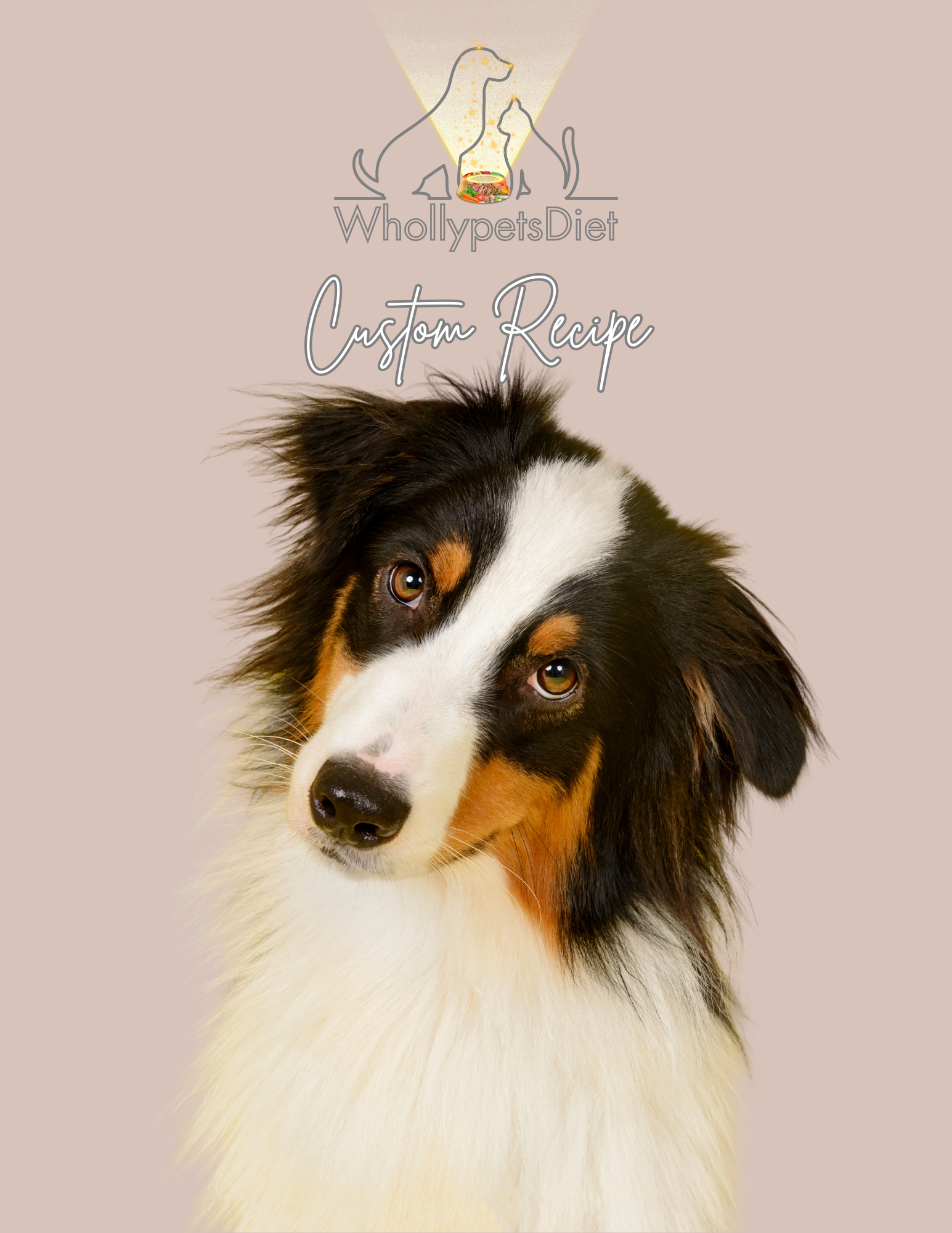 Healthy Adult Dog Diet