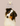Healthy Adult Dog Diet