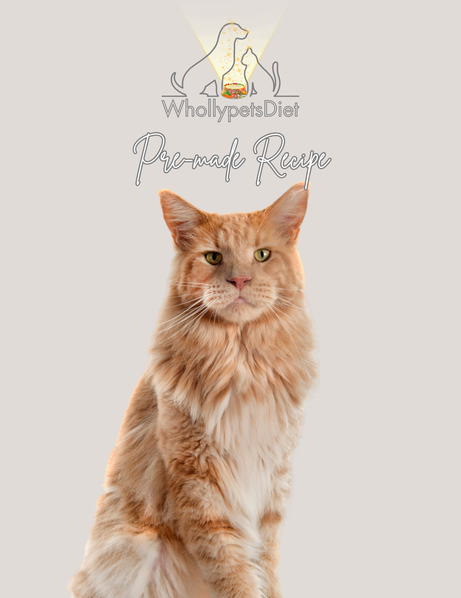 Healthy Adult Cat Diet