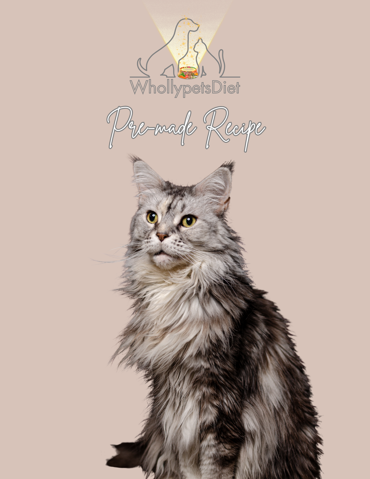 Therapeutic Diet for Cats