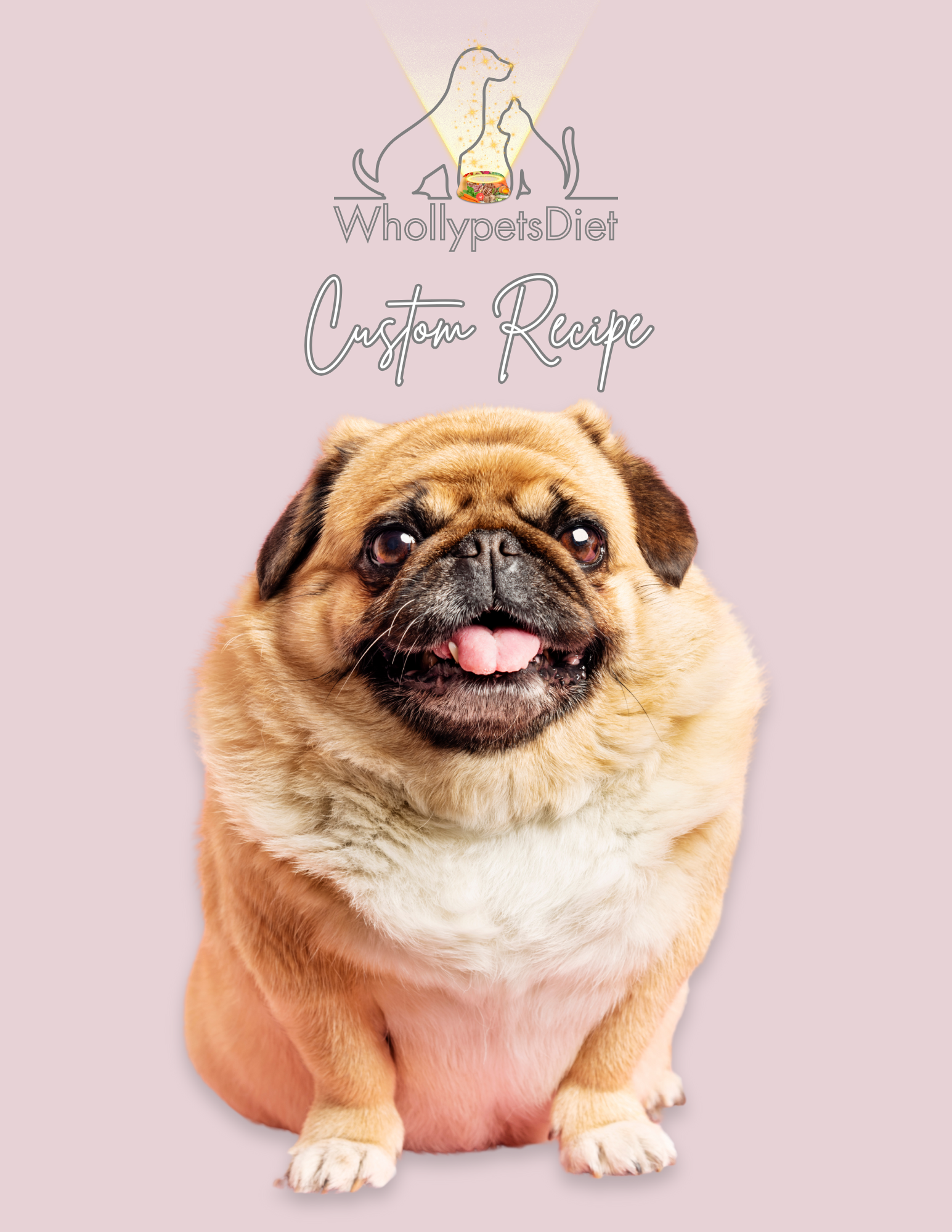 Weight Management for Dogs